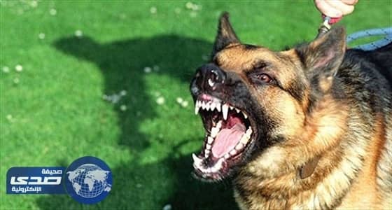 مناطق عازلة حول القرى المصابة بداء الكلب في ماليزيا