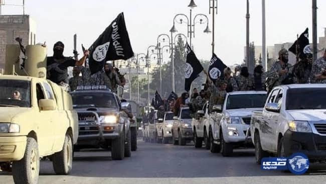 فيديو يوثق تعرض عهد التميمي للتحرش والتهديد أثناء استجوابها