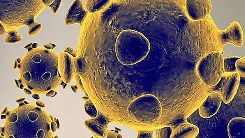 طبيب : المكسرات تقوي المناعة للوقاية من فيروس كورونا