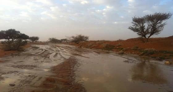 بالفيديو.. سيول شمال شرق الزلفي