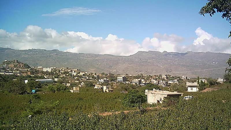 رجل يقتل زوجته ووالدتها وصهره بمادة حارقة بسبب خلافات أسرية