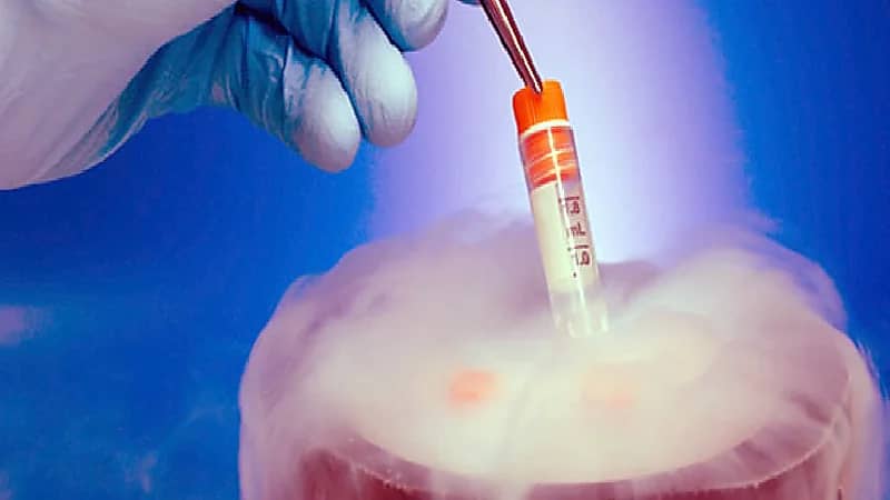 بالفيديو .. حالات يُنصح فيها الرجال بتجميد حيواناتهم المنوية