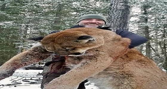 بالصور.. مذيع يثير غضب المتابعين بقتله أسد