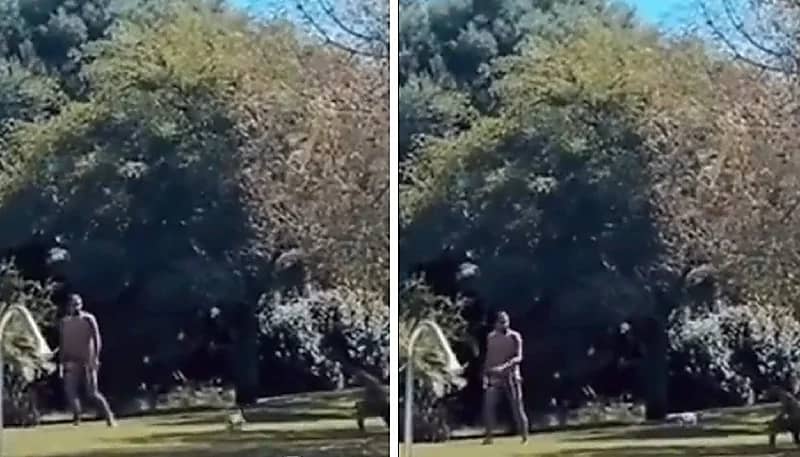 زوجة محترف الهلال توثق مهاراته مع نجله .. فيديو