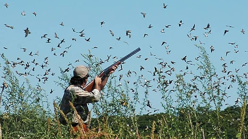 انخفاض أسعار بنادق الصيد بعد تشديد العقوبات