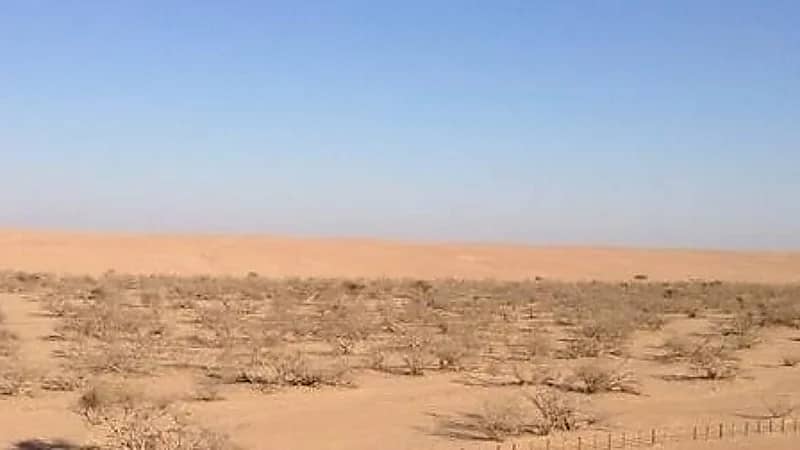 تحذير من خطر الحرائق في المحميات بسبب العشب اليابس