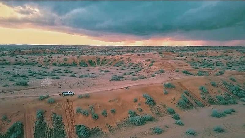 منتزهات الغضا بعنيزة تدخل موسوعة "جينيس"