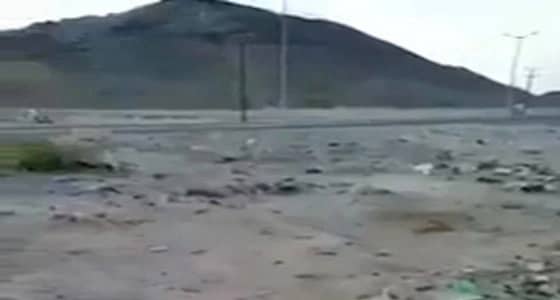 محافظ بيشة يكشف حقيقة وجود قبور بأحد المخططات السكنية