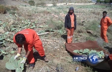 أمانة عسير : تفعل برنامج نظافة وصيانة المقابر داخل أبها‎