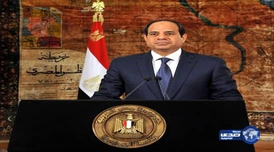 السيسي يصف الأحكام المشددة بحق صحافيي الجزيرة بـ السلبية