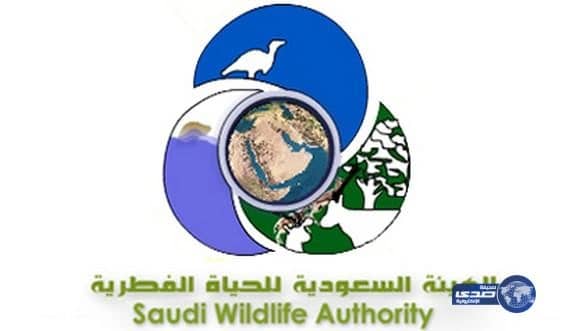 الزراعة والحياة الفطرية تدينان ممارسات تعذيب الحيوانات