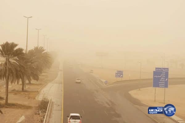 الحملات الأمنية مستمرة .. ضبط ٢٣٣٩ مخالفاً للإقامة والعمل بالقصيم