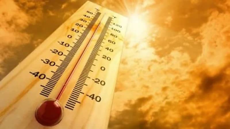 الأرصاد: المدينة المنورة الأعلى حرارة اليوم