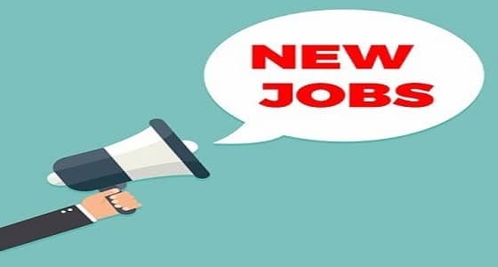 " شركة علم " تفتح باب التقديم لشغل وظيفة تقنية