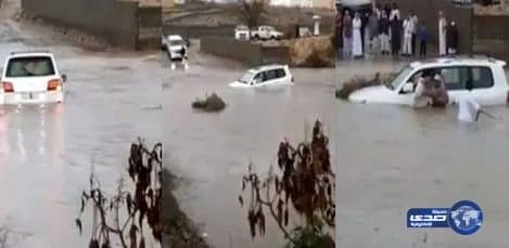 بالفيديو.. أم تٌلقن ابنتها درساً بترك ثعباناً يلدغها