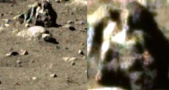 فيديو غريب لكائن فضائي على سطح القمر