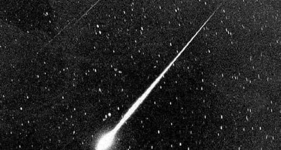 ناسا تكشف عن نيزك بحجم الحوت الأزرق يقترب من الأرض