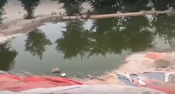 بالفيديو..فاعل خير ينشيء بحيرة ويضع الطعام للطيور المهاجرة في الصحراء