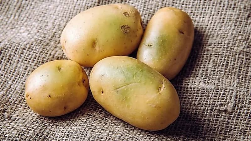 هل اللون الأخضر بالبطاطس مُسرطن وضار؟ الخضيري يجيب
