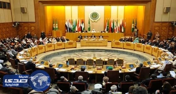 بالفيديو.. شكري وقطان لمندوب قطر: حديثك مهاترات.. و " أنت اللي تسكت "