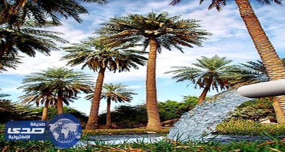 «عين الجوهرية» قبلة أهالي الأحساء لمواجهة حرارة الشمس