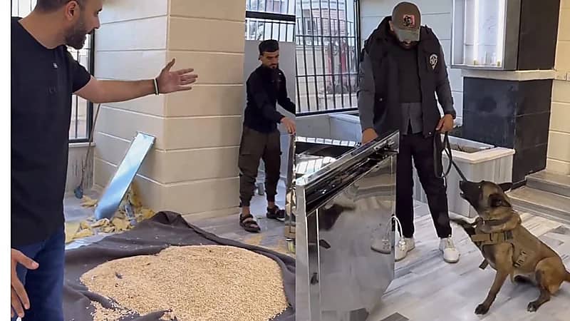 إحباط محاولة تهريب مخدرات من سوريا عبر معبر نصيب.. فيديو