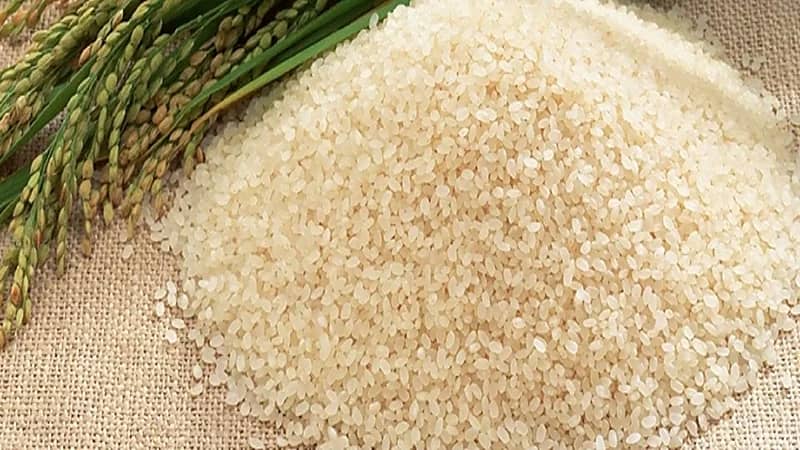 "الأحصاء" تسجل ارتفاعًا في أسعار الأرز والأسماك واللحوم