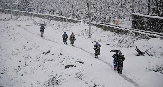 عاصفة ثلجية تضرب اليابان وتتسبب في مقتل 5 أشخاص