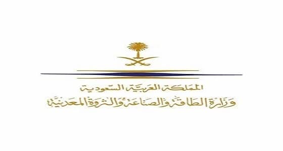 " الطاقة " : لجنة للتحقيق في أسباب انقطاع الكهرباء عن الجنوب ومعاقبة المقصرين