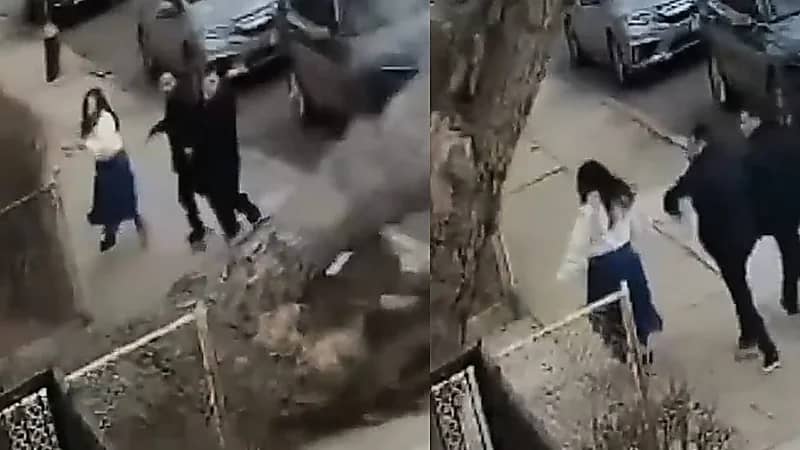 نجاة ثلاثة أشخاص بأعجوبة من سقوط شجرة ضخمة .. فيديو