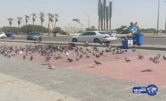 محامي يتحدث عن أغرب قضية مرت عليه لزوجها خلعت زوجها بعد شهر العسل بيومين (فيديو)