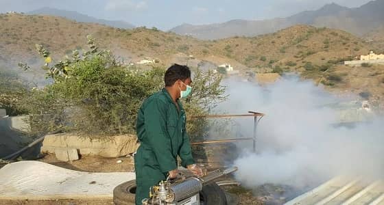 بالصور.. فرق الرش تواصل مكافحة الأوبئة والحشرات داخل المنازل بهروب