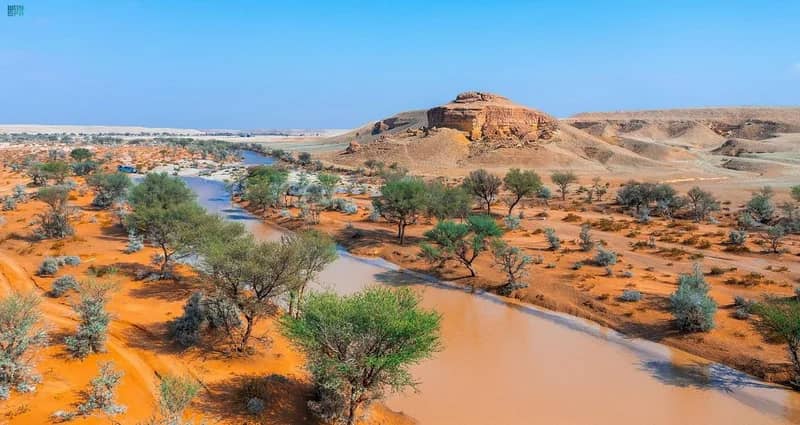 ضبط مواطن ارتكب مخالفة رعي بمحمية الملك عبدالعزيز الملكية