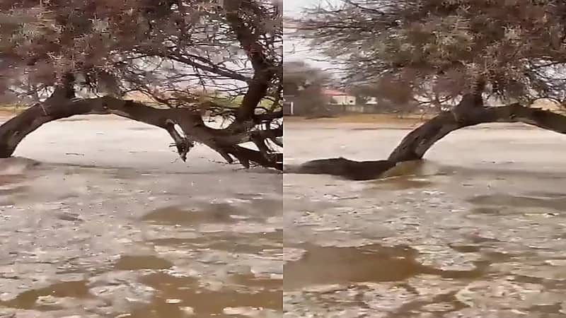 «فيديو» يظهر السيول والبرد في سوق عكاظ بالطائف