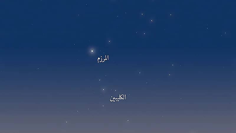 المسند يوضع أسباب اهتمام العرب بسهيل