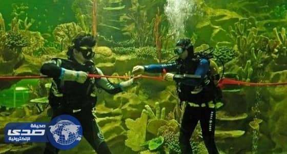 علماء يكتشفون بديلاً للوقود