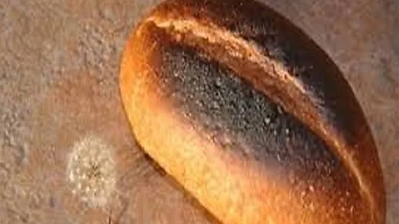 حقيقة تسبب الطعام المحروق بمرض السرطان