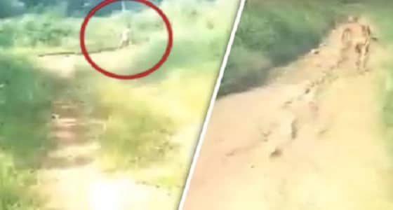 بالفيديو.. مخلوق غريب  بسمات بشرية يثير الرعب في إندونيسيا