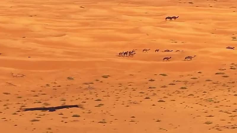 شاهد.. مشهد تم تداوله عالميا من مسار رالي داكار 2022‪ في المملكة