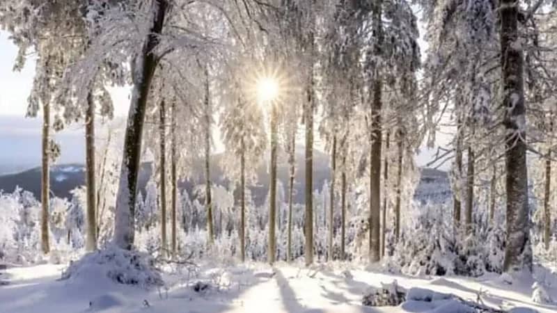 مع اقتراب الشتاء.. أوروبا تستعد لأزمة طاقة