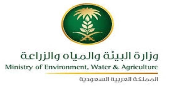 البيئة تطالب بإيقاف كافة المزادات والمباسط ومسابقات الطيور