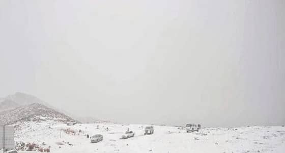 أتربة ورياح شمالية.. تفاصيل 3 أيام من التقلبات المناخية في المملكة