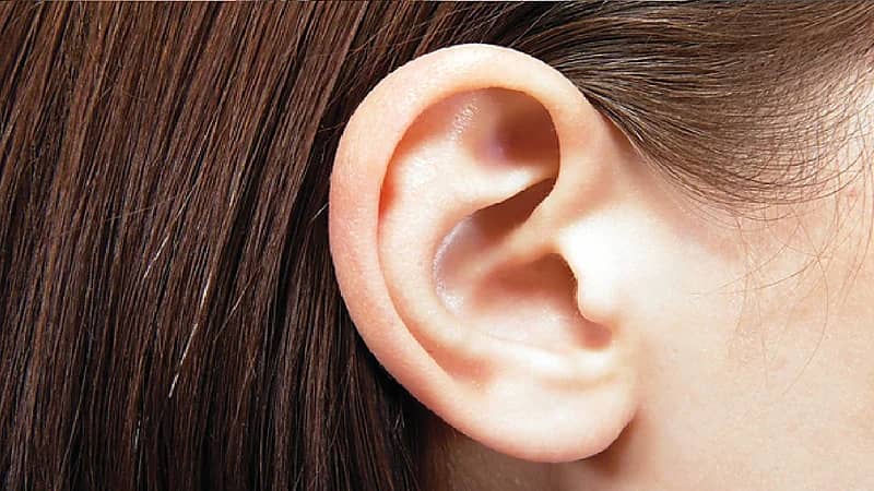 القبض على زوج قطع أذن زوجته وطعنها 20 طعنة