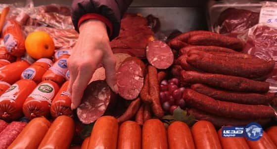 بالفيديو.. العثور على بقايا جثث الإرهابيين بالحد الجنوبي