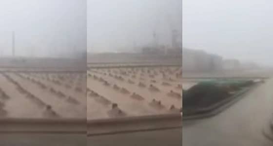 بالفيديو.. شاب يلهج بالدعاء على قبور الصحابة أثناء هطول الأمطار