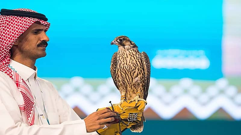 بالصور .. رحلة صقار سافر إلى الرياض وحصد 115 ألف ريال في 8 ساعات فقط