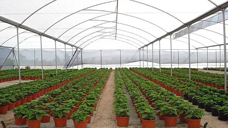 أمانة الرياض: إغلاق 191 مشتلاً لم تلتزم بالضوابط والتعليمات