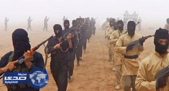 الحشد الشعبي العراقي: مقتل أمير ولاية كركوك في " داعش "