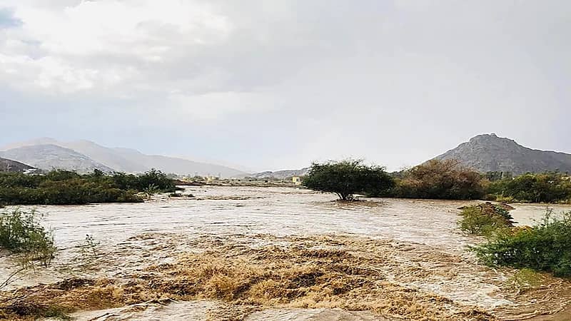 وفاة شقيقين صعقًا خلال سيول نجران