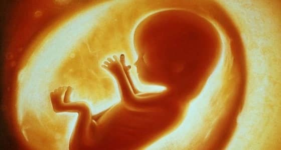 5 أطعمة تساعد على حركة الجنين